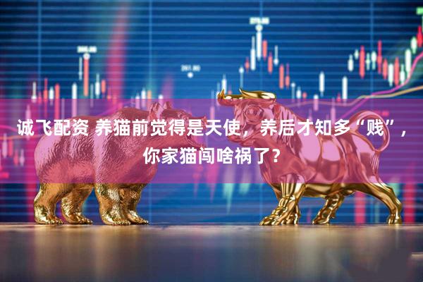 诚飞配资 养猫前觉得是天使，养后才知多“贱”，你家猫闯啥祸了？